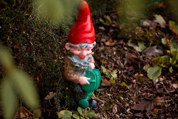 Funny garden gnome outdoors