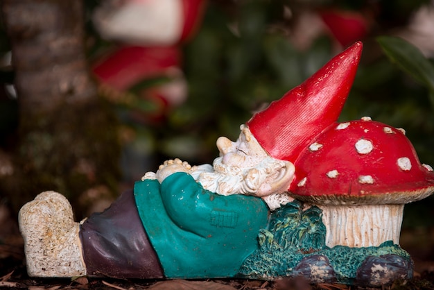 Free Photo funny garden gnome outside