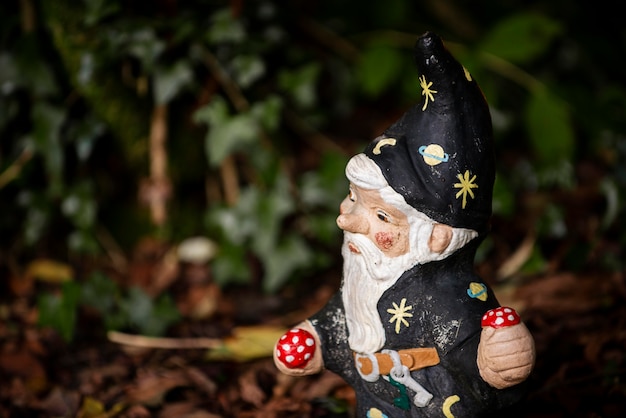 Free Photo funny garden gnome with copy space