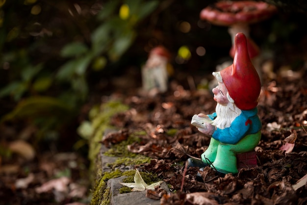 Funny garden gnome with copy space