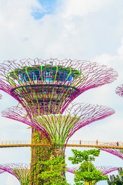 Free photo garden by the bay