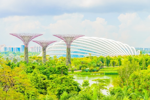 Free photo garden by the bay