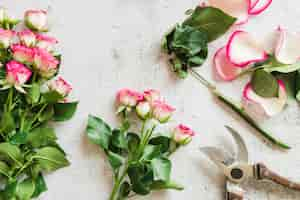 Free photo garden secateurs with roses on concrete backdrop