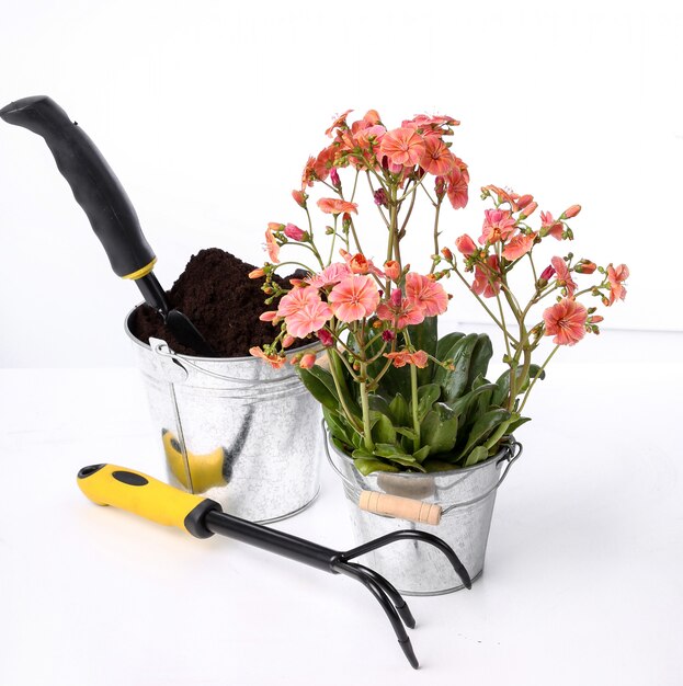 Garden tools