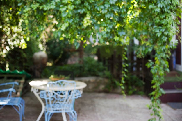 Garden with table background