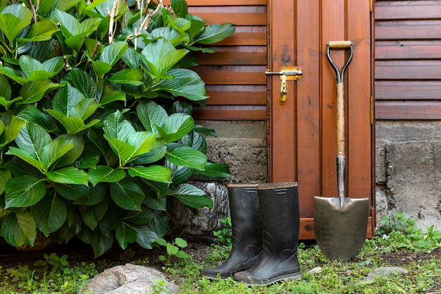 Free photo gardener tools beside house