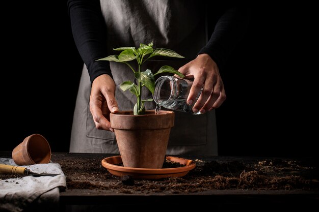 Gardener with apron watering plant front view