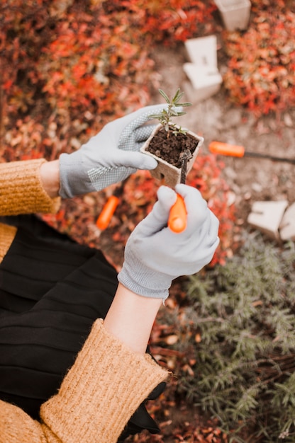 Free Photo gardener