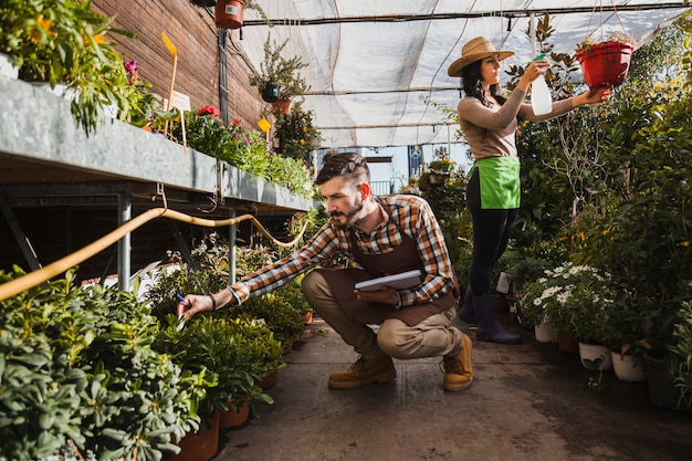 Gardeners working in greenhouse