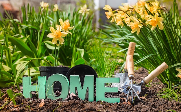 Free Photo gardening, beautiful spring flowers with garden supplies