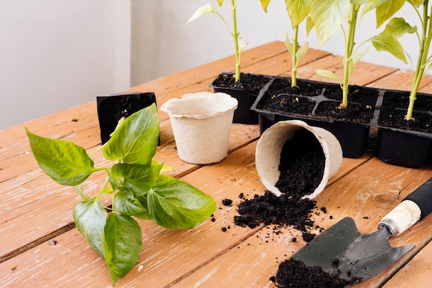 Free photo gardening composition on the table