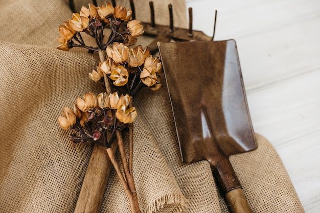 Free photo gardening concept with equipment on textile