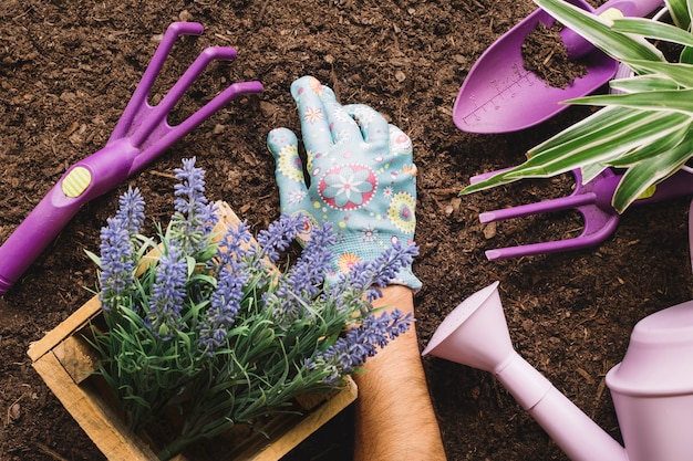 Free Photo gardening concept with gardening tools and arm