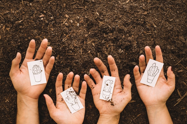 Free photo gardening concept with hands holding cards