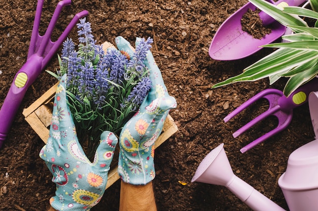 Free photo gardening concept with hands holding a plant