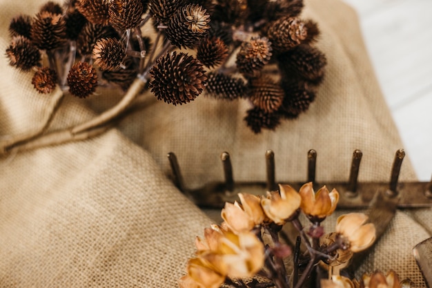 Gardening concept with rake and pine cones