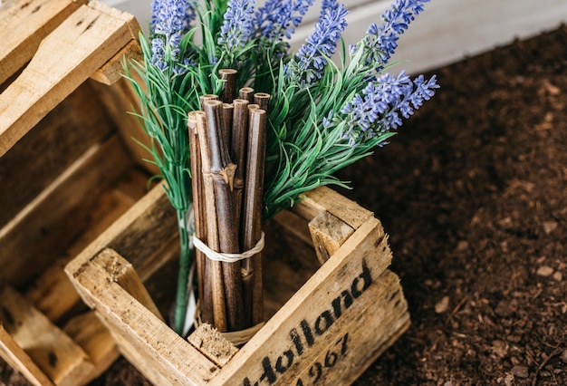 Free Photo gardening decoration with wooden box