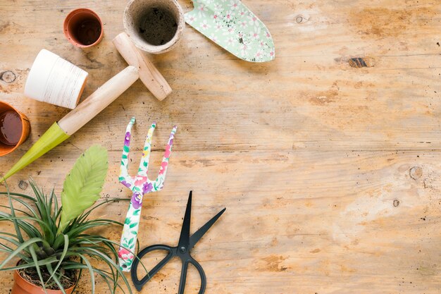 Free photo gardening equipments with potted plant on wooden background