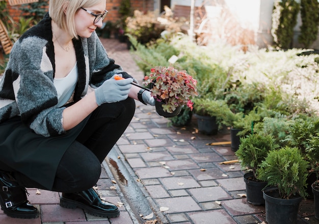 Gardening