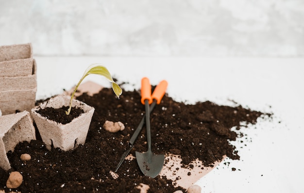 Gardening