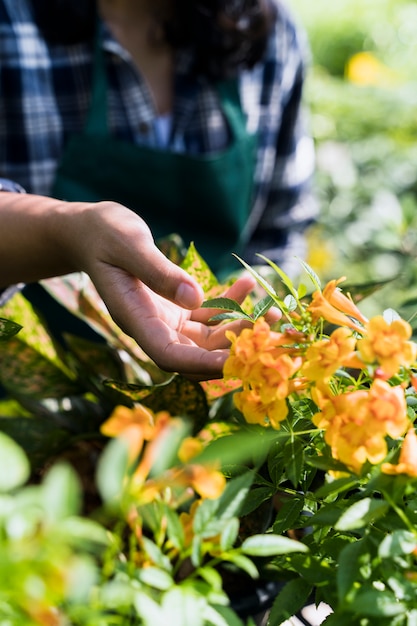 Gardening