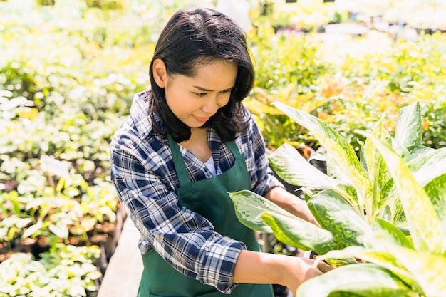 Gardening