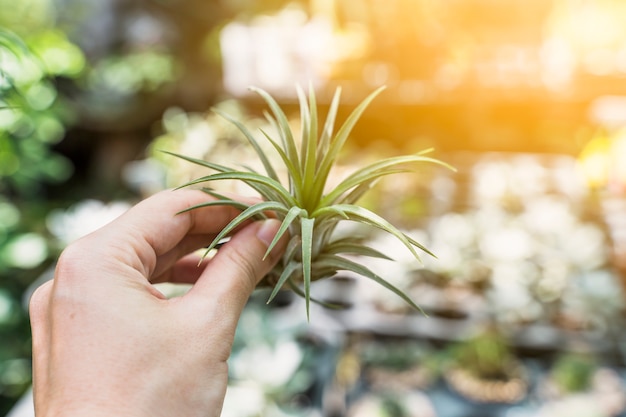 Gardening