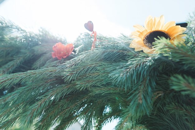 Garland made of fir tree and sunflowers