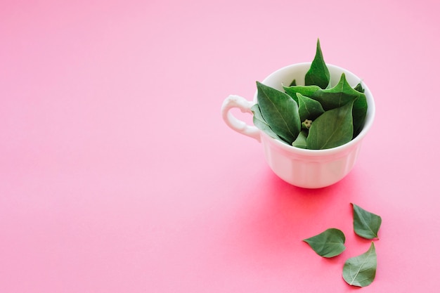 Gentle green flowers in white cup