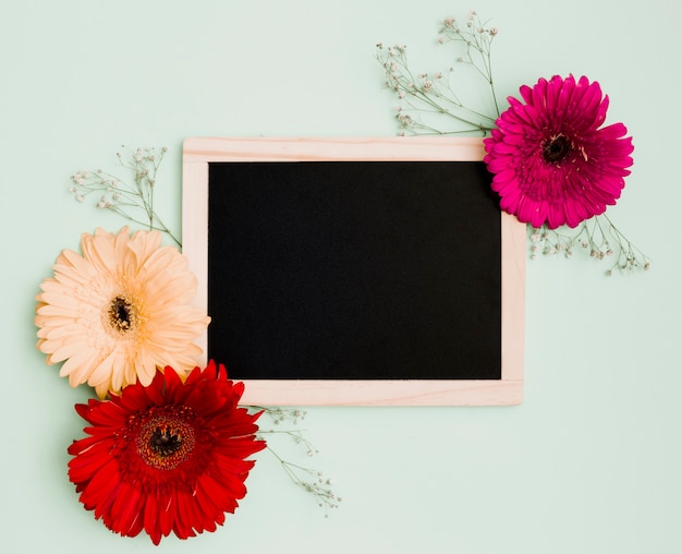 Gerbera flower decoration on wooden blank slate against pastel green background