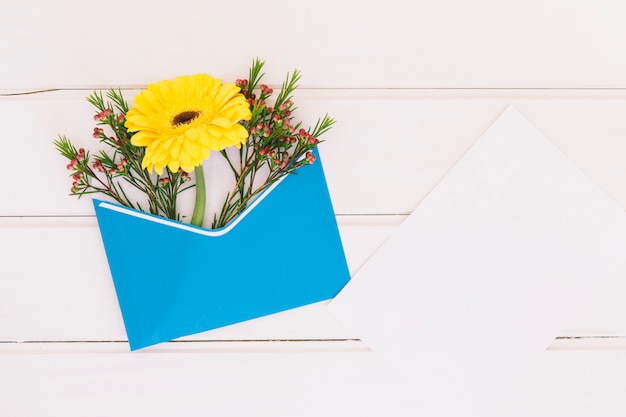 Free photo gerbera flower in envelope with paper