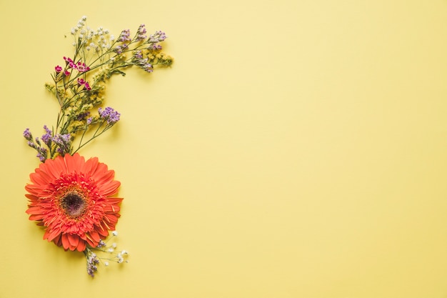 Gerbera and wild flowers