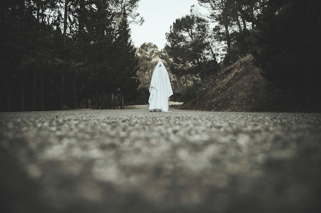 Free Photo ghost going on countryside road 