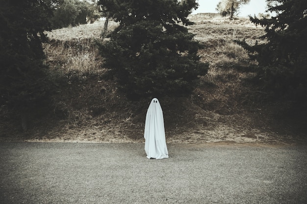 Free photo ghost standing on dark countryside road