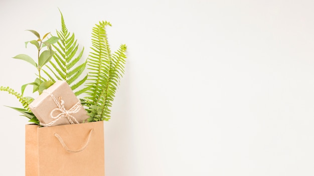 A gift box and green fern leaves in brown paper bag with space for text