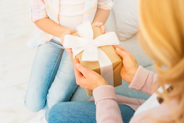 Gift box in hands of mother and daughter 