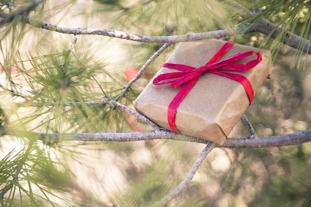 Free photo gift box in tree