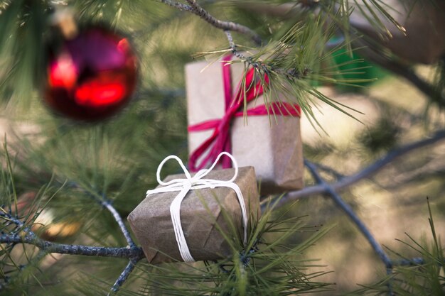 Free photo gift boxes and red christmas ball in tree