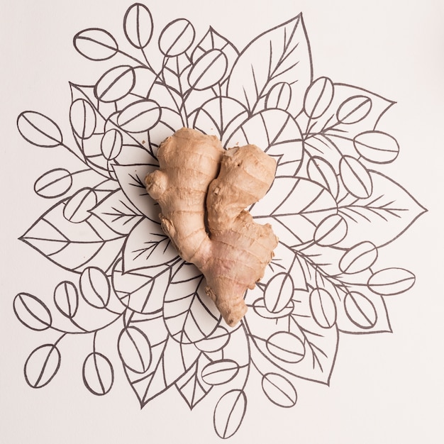 Free photo ginger over outline floral background