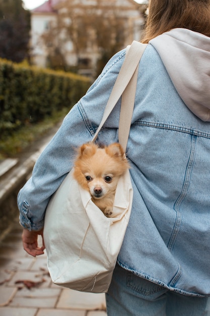 Free Photo girl carrying bag with dog back view