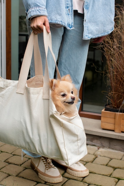 Free Photo girl carrying bag with dog side view