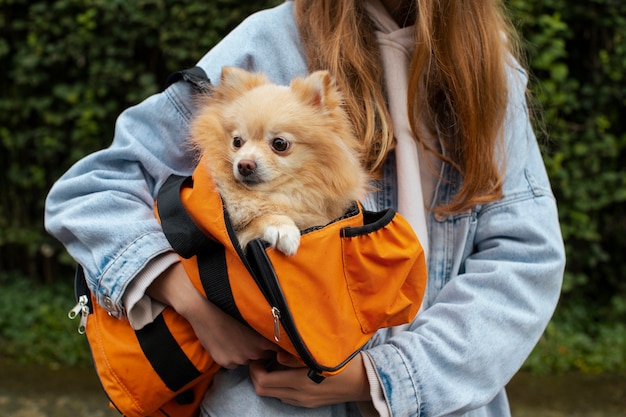 Free Photo girl carrying puppy in bag front view