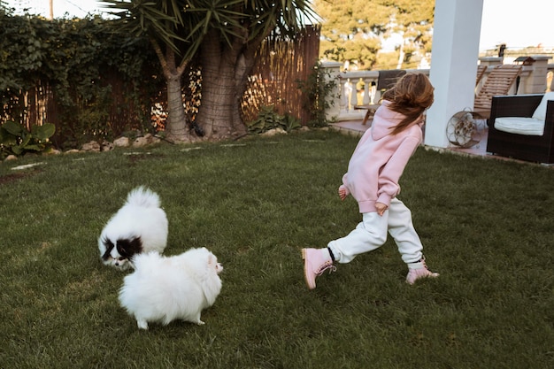 Free Photo girl and dogs running and playing