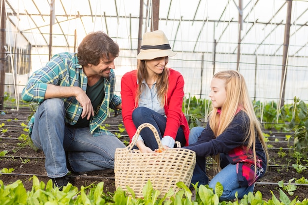 Free photo girl keeping vegetables in the basket