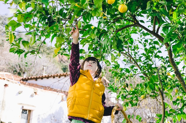 Free photo girl under lemon tree