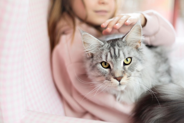 Free photo girl petting her beautiful cat