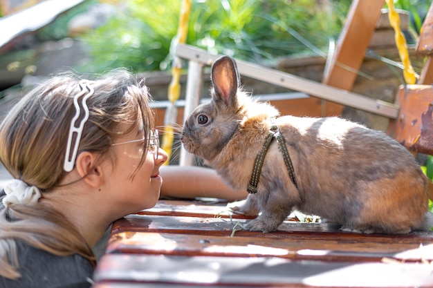 Free Photo a girl plays with a domestic rabbit on the street pet concept