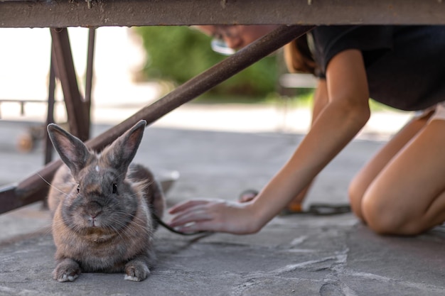 Free photo a girl plays with a domestic rabbit on the street pet concept