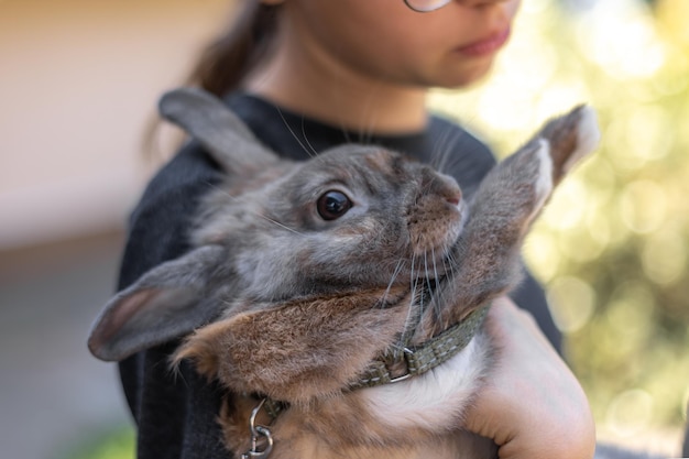 A girl plays with a domestic rabbit on the street Pet concept