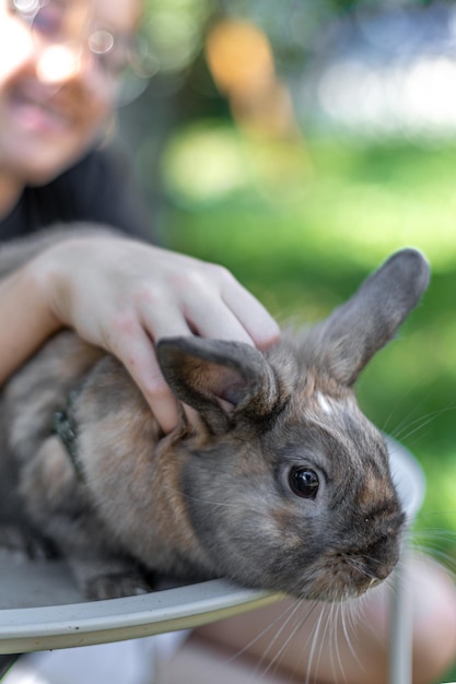 Free Photo a girl plays with a domestic rabbit on the street pet concept